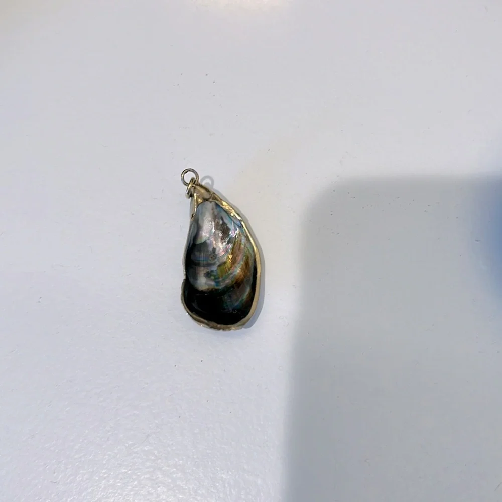 Shell pendant - Picture 1 of 2